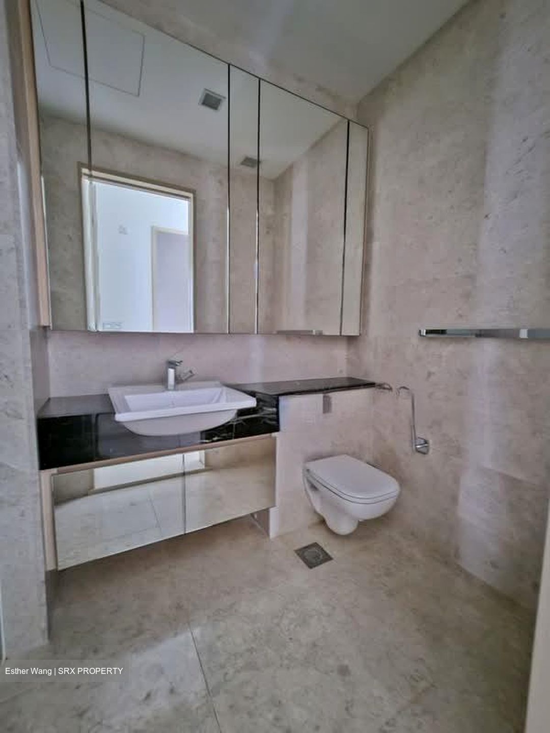 The Boutiq (D9), Apartment #529195041